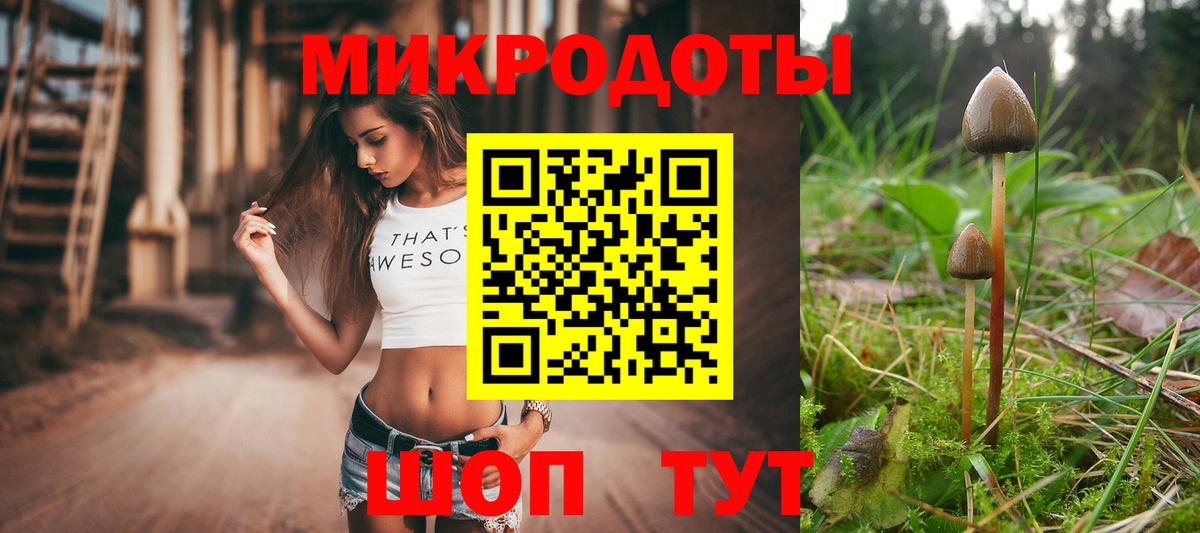 Галлюциногенные грибы Magic Shrooms  Галлюциногенные грибы мицелий  Вход с VPN  Улан-Удэ 