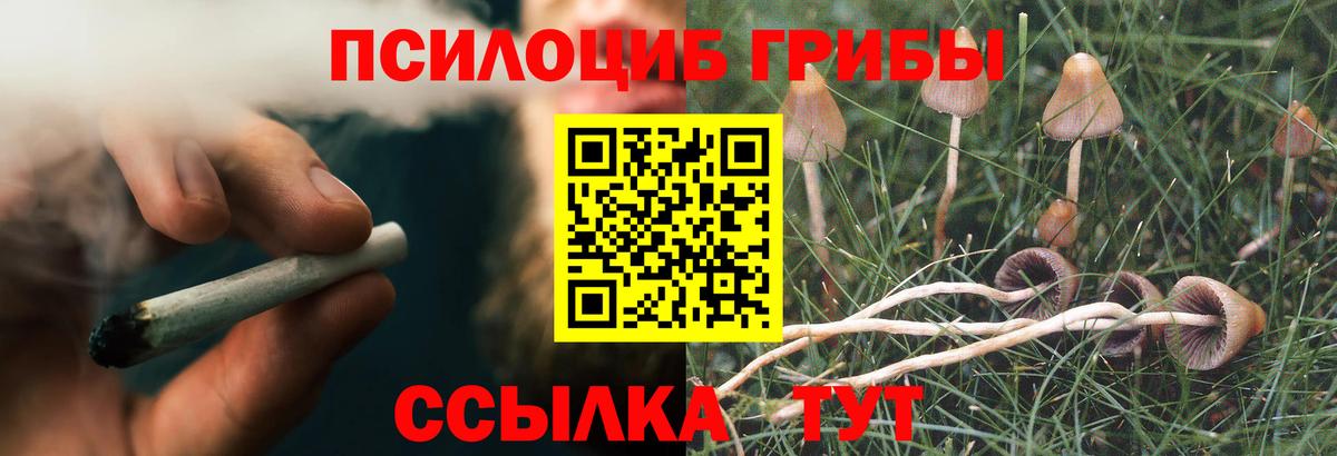 Галлюциногенные грибы мухоморы Улан-Удэ